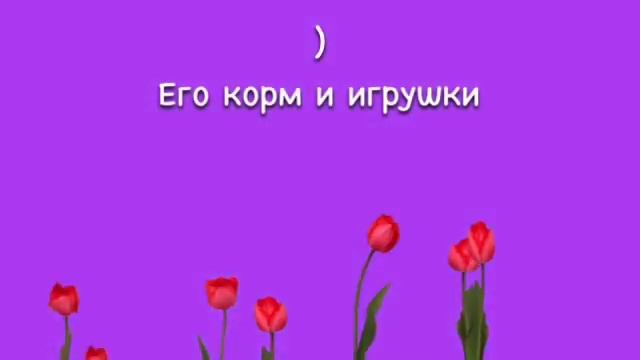 Немного о Снупи йоркширский терьер смотреть онлайн