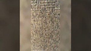 Ковролин ZARTEX OLYMPIC 860 8,5мм. Продажа напольных покрытий. Свердловская область, Екатеринбург.