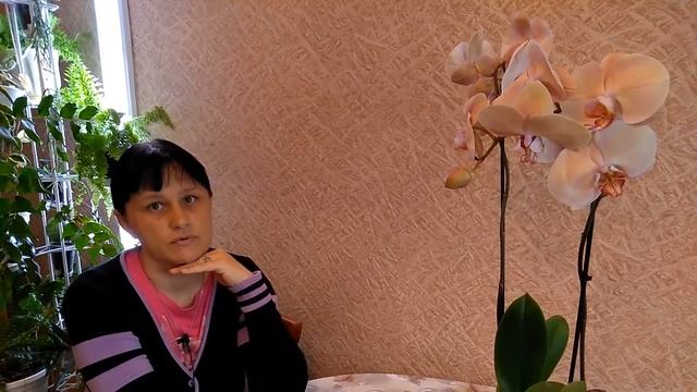 "Леди Мармелад" и Люся ..... смотреть онлайн