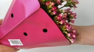 Уход за Каланхоэ Блоссфельда и Каланхоэ Каландива после покупки