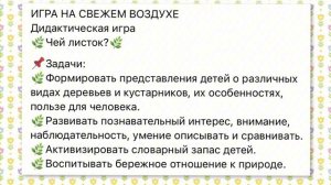 Деревья и кустарники ХМАО-Югры