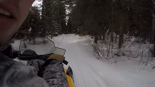 Покатушка по зимнему лесу смотреть онлайн