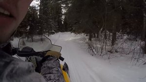 Покатушка по зимнему лесу