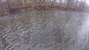 Fly Fishing the Good Old Reliable Tully, "RAIN THEN SNOW!!", Dec. 2020