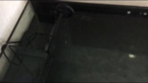 Запускаю морской аквариум на 120 литров