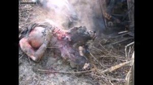 Война, дело молодых, лекарство против морщин...