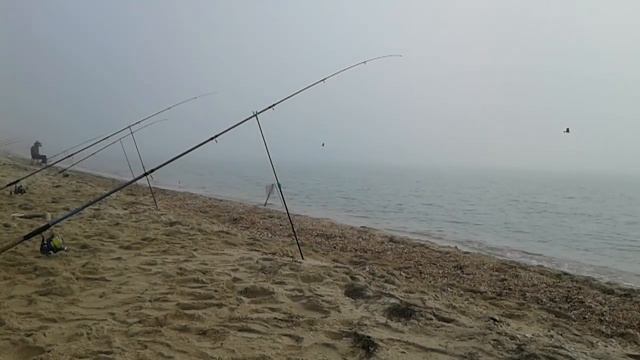 ОСЕННИЙ ЖОР ПЕЛЕНГАСА. ЛОВЛЯ ПЕЛЕНГАСА В АЗОВСКОМ МОРЕ.