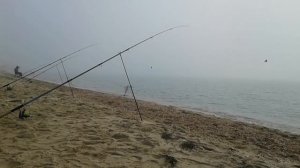 ОСЕННИЙ ЖОР ПЕЛЕНГАСА. ЛОВЛЯ ПЕЛЕНГАСА В АЗОВСКОМ МОРЕ.