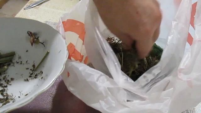 Такие МАЛОСОЛЬНЫЕ ОГУРЦЫ вы будете готовить постоянно // МАЛОСОЛЬНЫЕ ОГУРЦЫ В ПАКЕТЕ смотреть онлайн