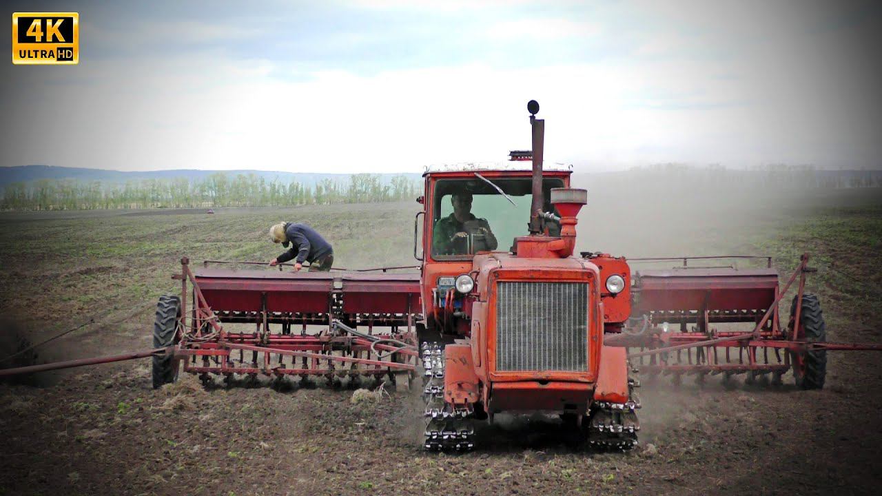 Он получил новый трактор ДТ-175С Волгарь в 1989 году и до сих пор на нем работает! смотреть онлайн