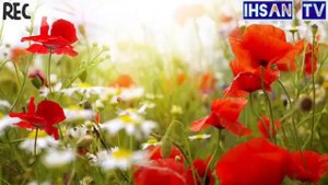 Суруди зебои исломи