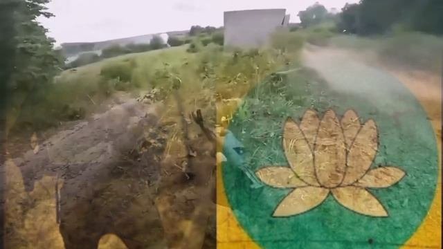 Галинадар - Потому что иначе нельзя