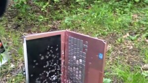 Дрозд PCP & SONY VAIO