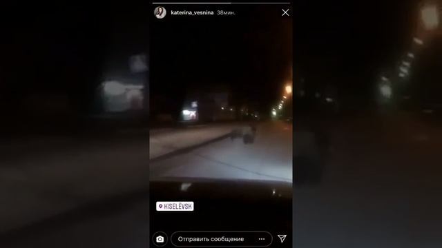 В Киселевске медведь бегал по городу