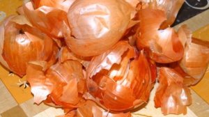 Как применить луковую шелуху для огурцов с пользой