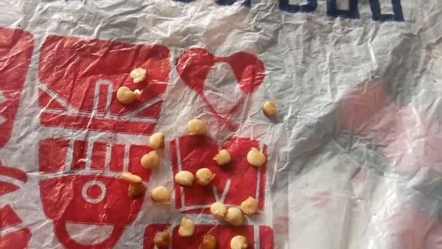 Первая часть марлезонского балета. Мочить или нет? смотреть онлайн