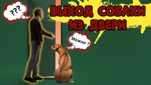 Выход собаки из двери! Как правильно ?