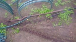 Как сделать надежные дуги своими руками для укрытия растений зимой