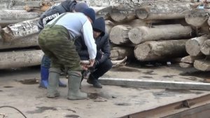 Как поймать налима. Ловля налима на донку