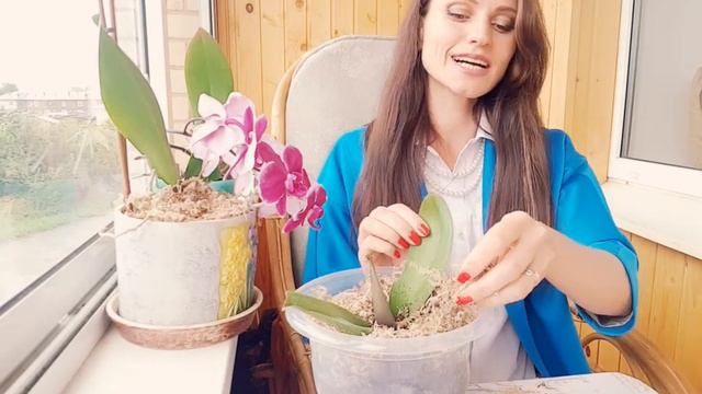 как Цветы влияют на нашу энергию и пространство в доме. Светлана Быстрова смотреть онлайн