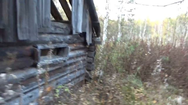 Cтанция Турунья.