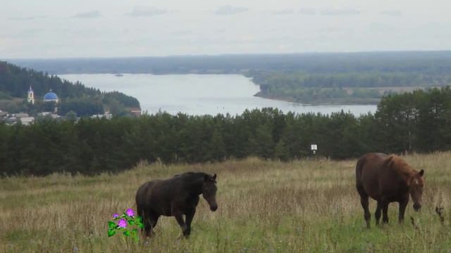 Прощание с конём смотреть онлайн