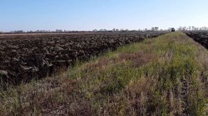 Трактор Беларус  82 1 вспашка земли плугом