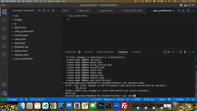 Second Meeting about Project - PLUSWEB01