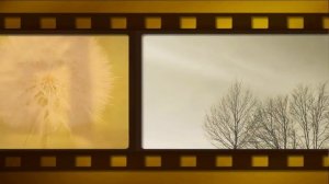 Футаж смена кадров