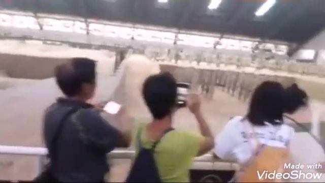 Terracotta warriors, xian shaanxi in memories смотреть онлайн