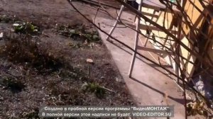 Эковата. Усадка  эковаты