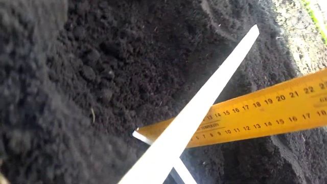 Приспособление для посадки картофеля под мотокультиватор.Испытания. смотреть онлайн