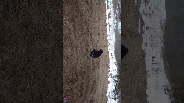 Тест петард. Петарды разрывают металл. Топ петард. Часть1. Металлическое ведро разорвало. смотреть онлайн