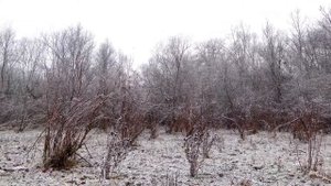 Красивые зимние пейзажи   Чечня красивая природа зимой 2022