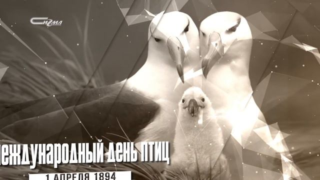 Минуты истории 1 апреля 2019 смотреть онлайн