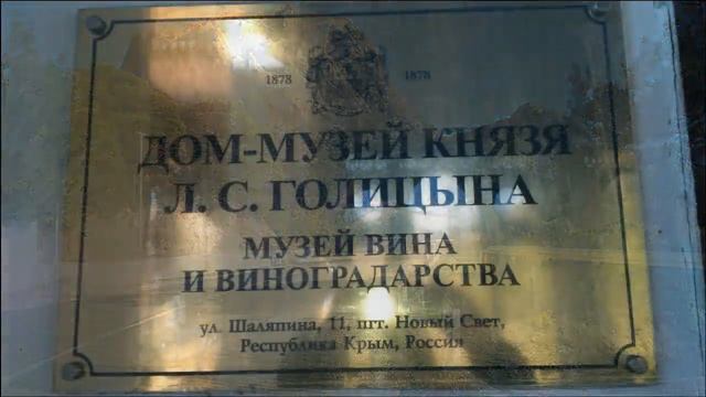Новый Свет, поход в горы, грибы и сосны. Крым в декабре.