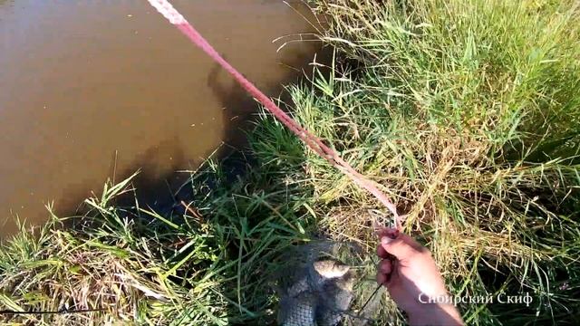 Рыбалка в Секретных Местах/Караси Монстры/С такими Карасями и Сазан не Нужен/Фидер/Спиннинг