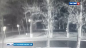 Профессия - спасатель!