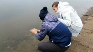 Экологический социальный ролик. "Мусора - нет!"