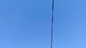 Бакинские и пермские голуби