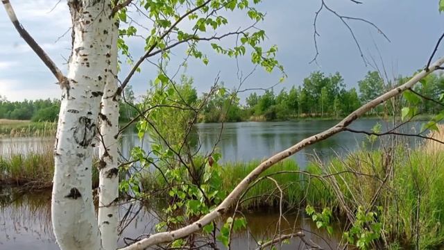 #поэзиядлядуши "Каждый день будто заново жить начинаем!" ( Автор стихотворения - Ирина Расшивалова)