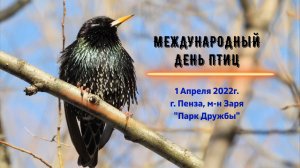 1 АПРЕЛЯ 2022 Международный день птиц