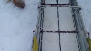 Самодельные сани волокуши .