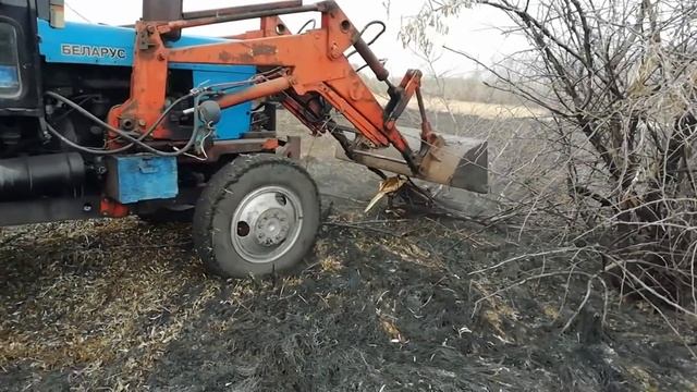 ОЧИСТИЛИ ПОЛЕ ОТ ДЕРЕВЬЕВ. МТЗ 82 СПРАВИЛСЯ смотреть онлайн