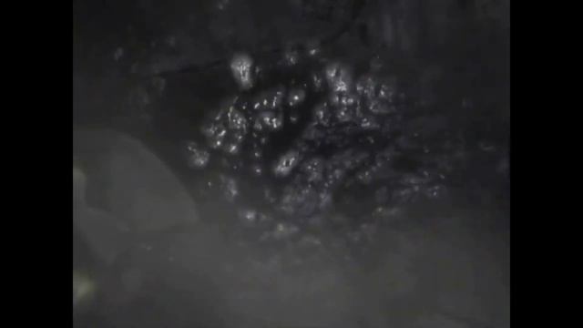История принца персии