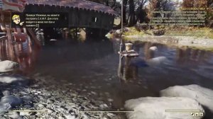 Место обитания лягушек (Головастик: герпетолог) Fallout 76