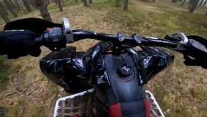 Polaris predator 500