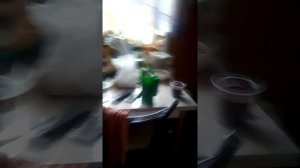 проверяем лайфхак " OREO мороженое"