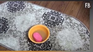 Чищу ковер домашним средством, которое делаю сама из уксуса и соды