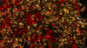 Старый Новый год! Щедровка "Старий рік". Хор "Anima"